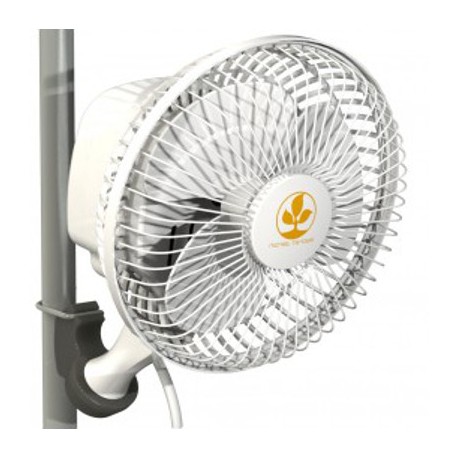 Ventilador Monkey Fun Secret Jardin