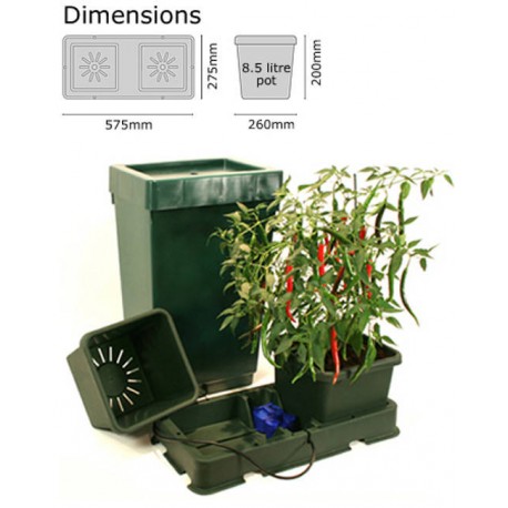 Autopot Easy2grow 2 Pot (8,5L) + Depósito