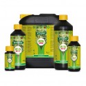 ATA NRG Growth-C · Atami