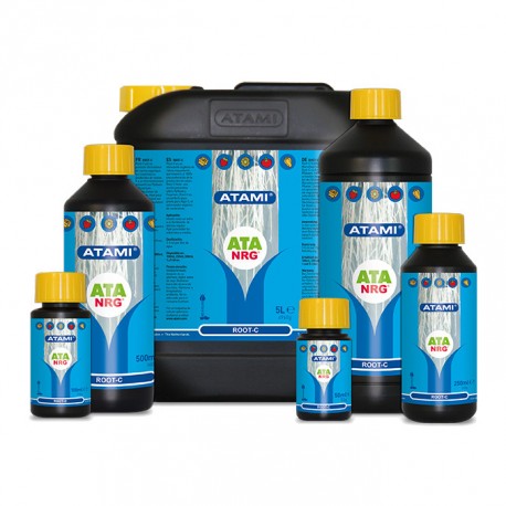 ATA NRG Root-C · Atami
