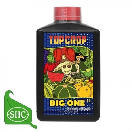 Big One · Top Crop