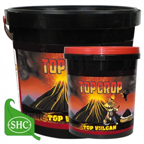 Top Vulcan · Top Crop