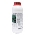 Bachumus Ecohemp C · Trabe