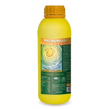 Bachumus Evolution F · Trabe