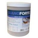 Guanoforte · Trabe