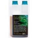 Radical Flower · Trabe