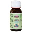 Soilhemp · Trabe