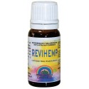 Revihemp · Trabe