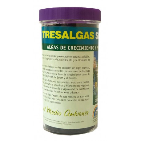Tres Algas · Trabe