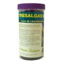 Tres Algas · Trabe