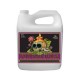 Voodoo Juice Garrafa (Advanced Nutrients)