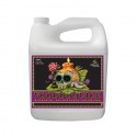 Voodoo Juice Garrafa · Advanced Nutrients