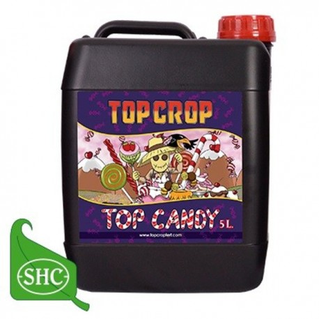 Top Candy Garrafa · Top Crop