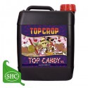 Top Candy Garrafa · Top Crop