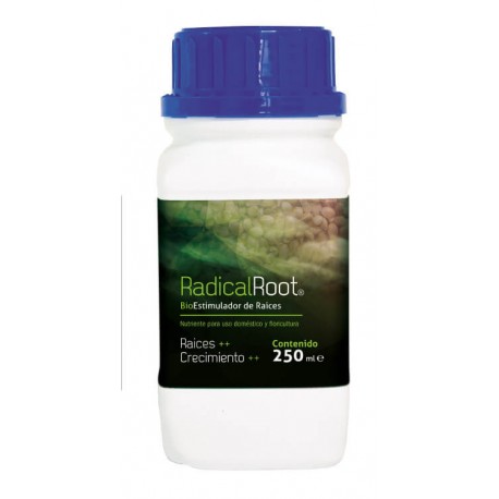 Radical Root Garrafa · Trabe