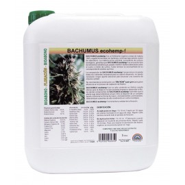 Bachumus Ecohemp F Garrafa | Trabe