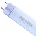 Fluorescente T8 Agrolite 36W Roots