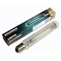 Sylvania SHP-TS 600W Bloom