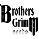 Apollo 13 Regular (Brothers Grimm Seeds) 3