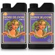 Sensi Bloom A&B · Advanced Nutrients