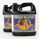 Sensi Bloom A&B Garrafa · Advanced Nutrients
