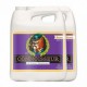 Connoisseur Bloom A&B Garrafa | Advanced Nutrients