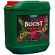 Boost Accelerator Garrafa · Canna