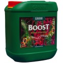 Boost Accelerator Garrafa · Canna