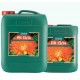 PK 13-14 Garrafa · Canna