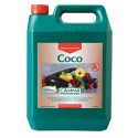 Coco A Garrafa · Canna