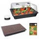 Kit de Germinación Stewart Premium