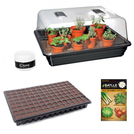 Kit de Germinación Stewart Premium