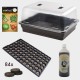 Kit de Germinación Stewart Essentials
