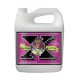 Bud Factor X Garrafa · Advanced Nutrients
