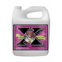 Bud Factor X Garrafa · Advanced Nutrients