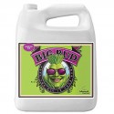 Big Bud Liquid Garrafa · Advanced Nutrients