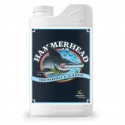 HammerHead · Advanced Nutrients