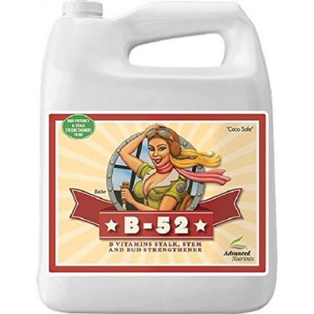 B-52 Fertilizer Booster Garrafa | Advanced Nutrients