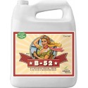 B-52 Fertilizer Booster Garrafa · Advanced Nutrients
