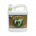 Big Bud Coco Garrafa · Advanced Nutrients