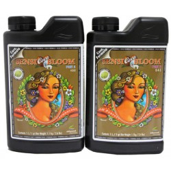Sensi Bloom Coco A&B | Advanced Nutrients