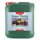 Aqua Flores A Garrafa | Canna