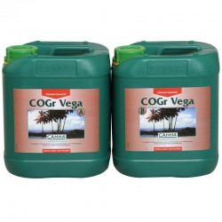 COGr Vega A Garrafa | Canna