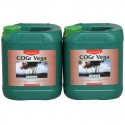 COGr Vega A Garrafa · Canna