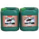 COGr Vega B Garrafa |Canna