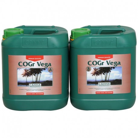 COGr Vega B Garrafa |Canna