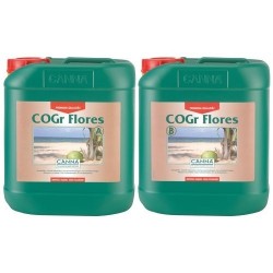 COGr Flores B Garrafa | Canna
