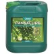 CannaCure Garrafa | Canna