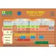 Tabla Cultivo BioSevia Tierra
