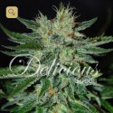 Sugar Black Rose